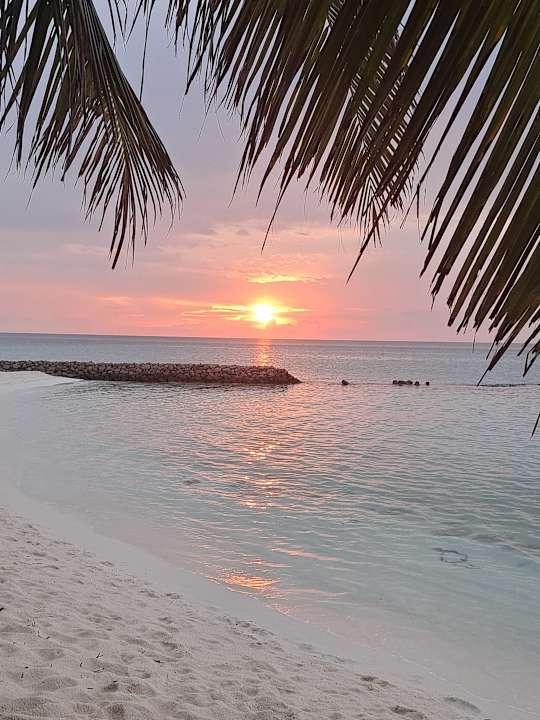 Ausblick Summer Island Maldives