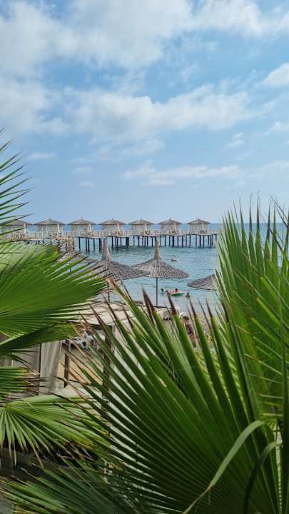 Strand Seven Seas Palmeras Bay Alanya