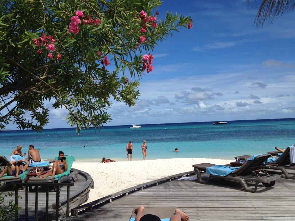 Am Pool Kuredu Island Resort & Spa