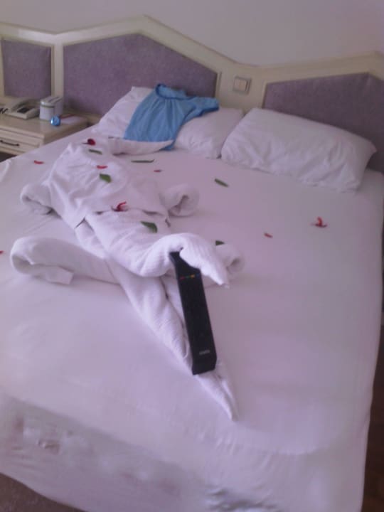 Krokodil von unserer lieben Zimmerfee  1109 Grand Seker Hotel