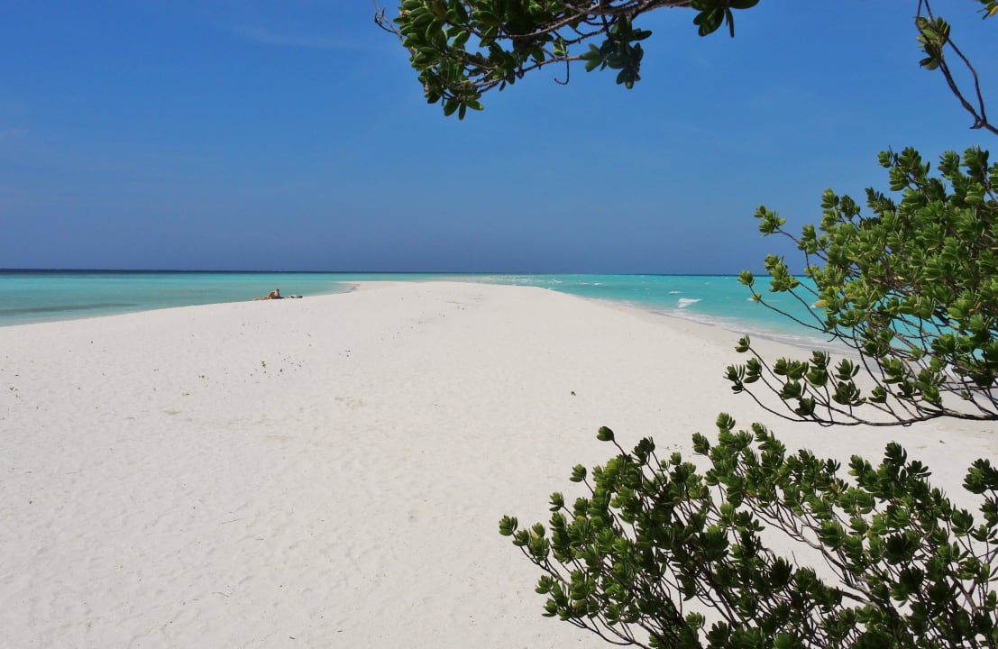 Sandbank Kuramathi Maldives