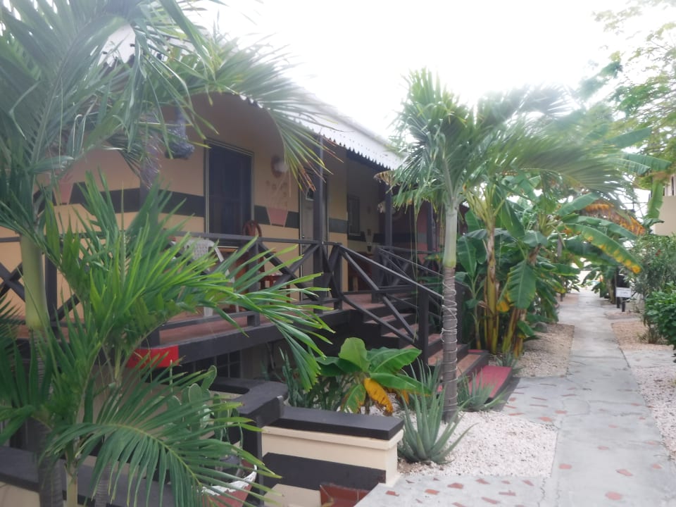 Gartenanlage Hotel Marys Boon