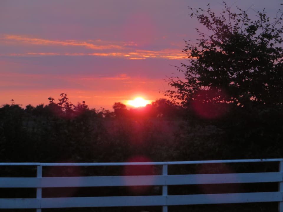 Ausblick Ferienhäuser Bauernhof Haltermann Landurlaub mit Stil