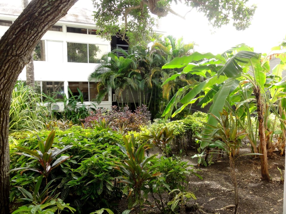 Innenhöfe der Hotelgebäude La Creole Beach Hotel & Spa