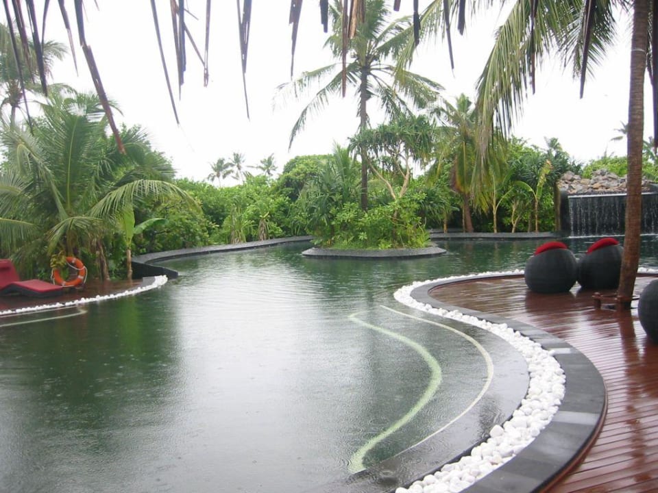 Fluid Bar - Black Pool Sun Siyam Iru Fushi