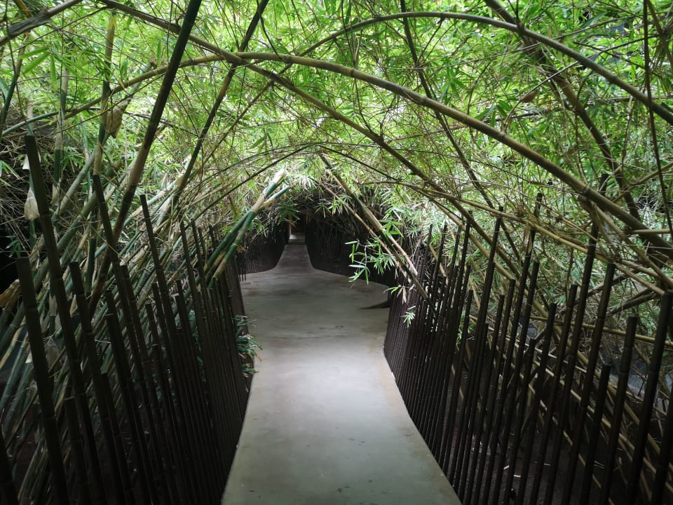 Sonstiges Lopesan Baobab Resort