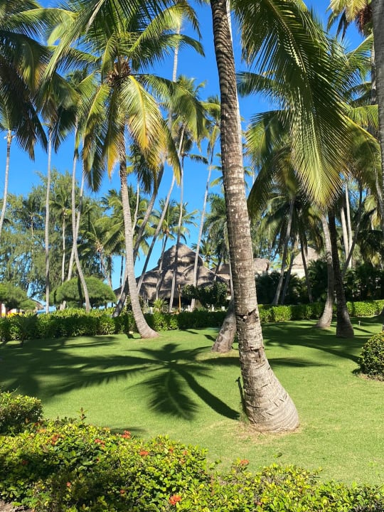 Gartenanlage Vista Sol Punta Cana