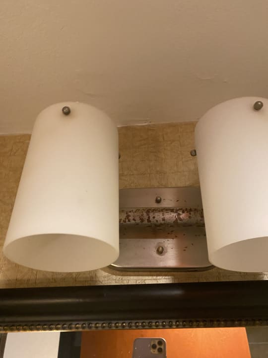 Zimmer Hotel Holiday Inn Express New York City Wall Street