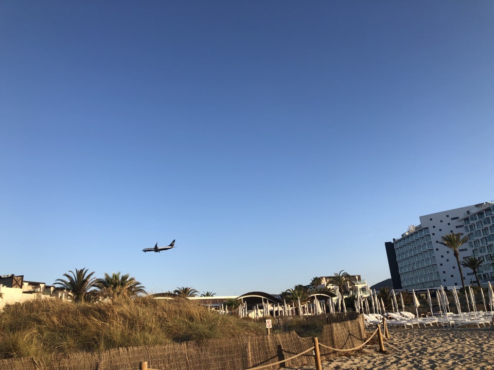 Strand FERGUS Style Bahamas