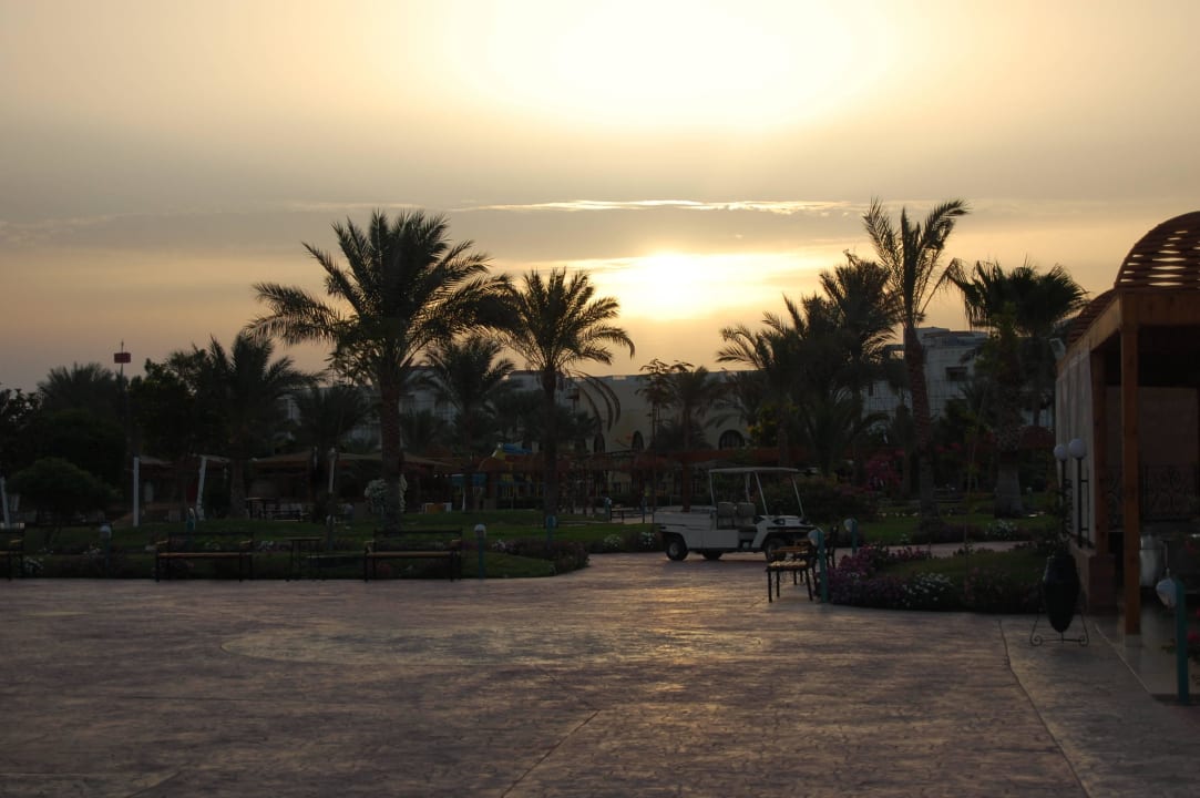 Aussenanlage Desert Rose