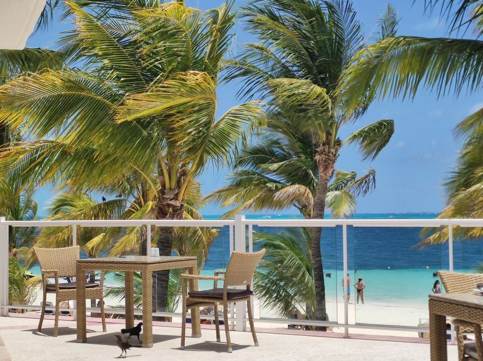 Gastro Hotel Riu Caribe