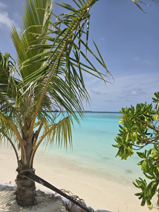 Gartenanlage Adaaran Select Meedhupparu Island Resort - Premium All Inclusive