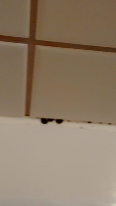 Schimmel in der Dusche Hotel Orange Wings Wiener Neustadt