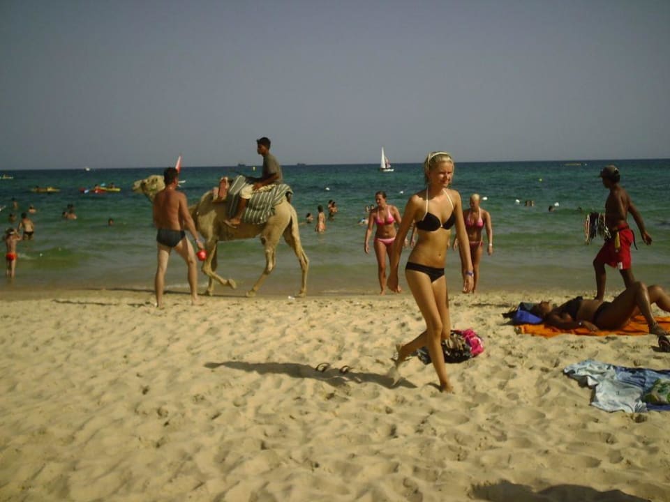 Strand Hotel Nesrine