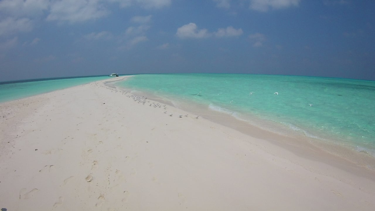Strand Gangehi Island Resort