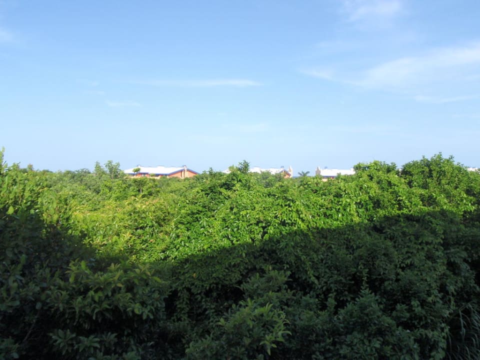 Ausblick vom Zimmer Grand Palladium Kantenah Resort & Spa