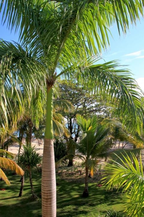 Blick von unserem Balkon Iberostar Waves Costa Dorada