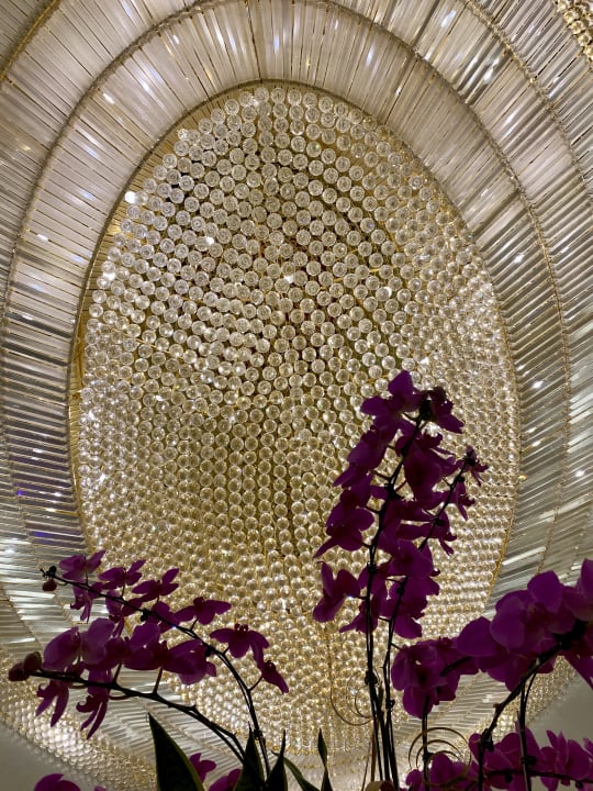 Lobby Hotel Windsor Plaza