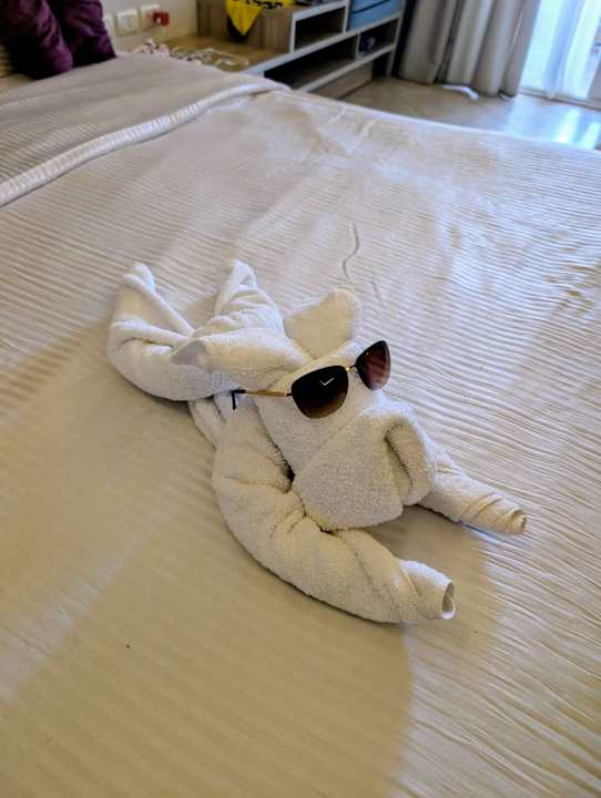 Zimmer Titanic Royal