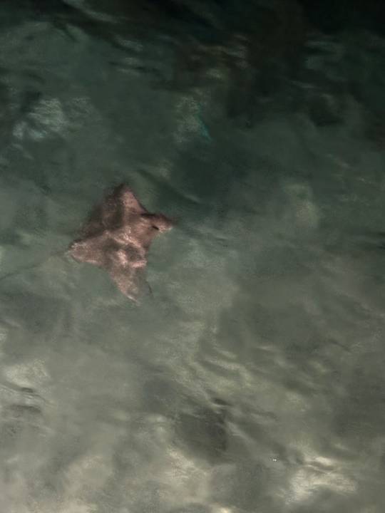 Strand Vilamendhoo Island Resort & Spa