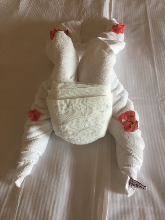 Zimmer Pickalbatros Citadel Resort