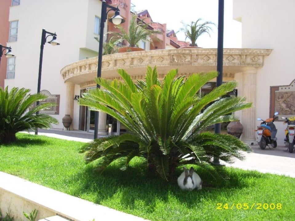 Eingang Royal Atlantis Beach Hotel