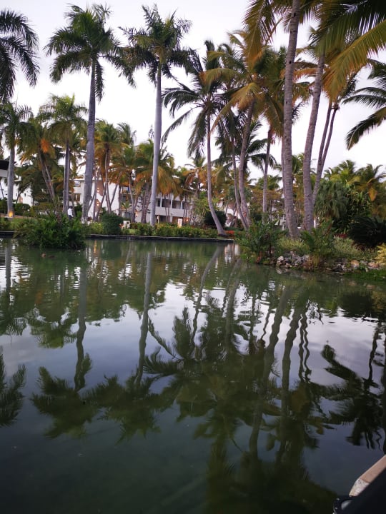 Gartenanlage Catalonia Punta Cana - All Inclusive