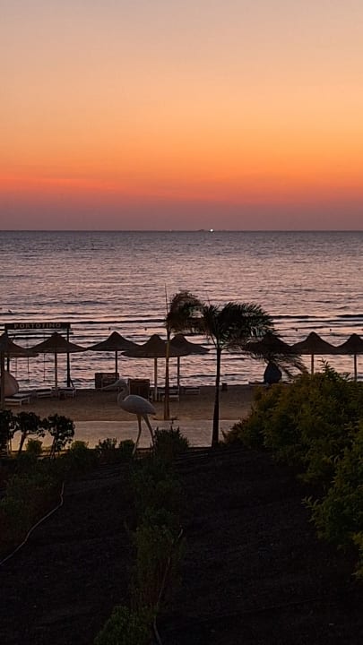 Strand Pickalbatros Vita Resort - Portofino Marsa Alam