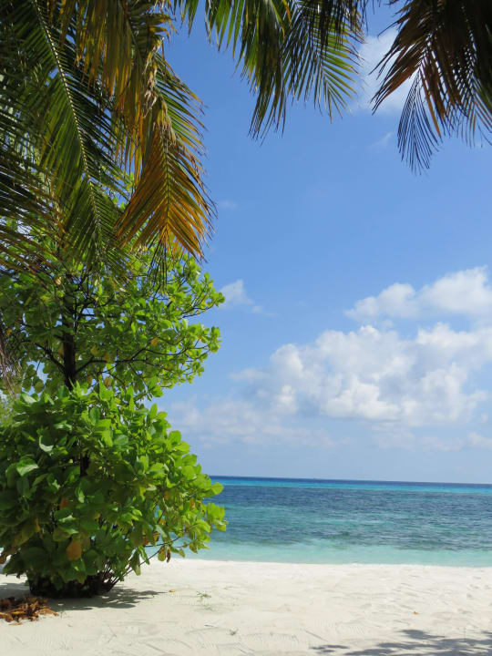 Strand Kuredu Island Resort & Spa