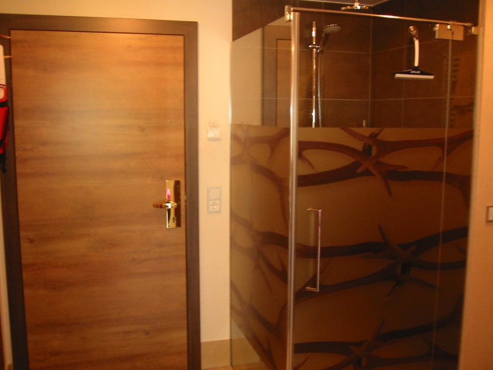 Blick auf Zimmertür und Dusche Hotel DIE SONNE