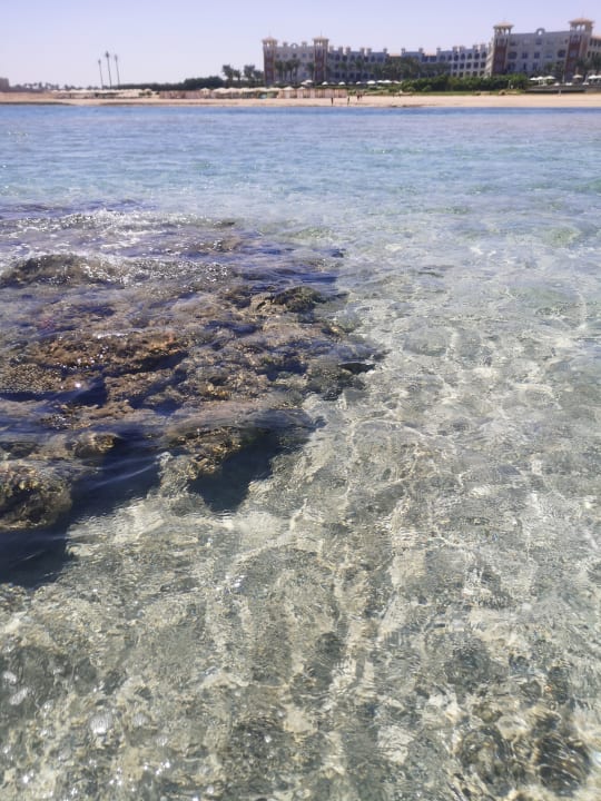 Strand Baron Palace Sahl Hasheesh