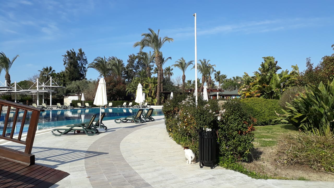 Pool Sunis Kumköy Beach Resort Hotel & Spa