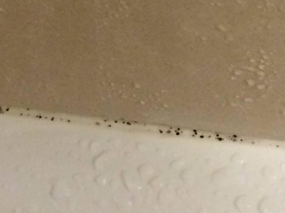 SCHIMMEL! Pfui Renaissance Palm Springs Hotel