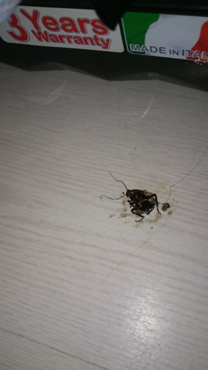 Zimmer allsun Hotel Lux de Mar