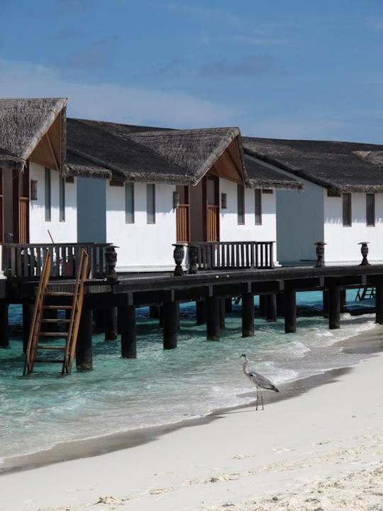 Wasserbungis NH Collection Maldives Reethi Resort