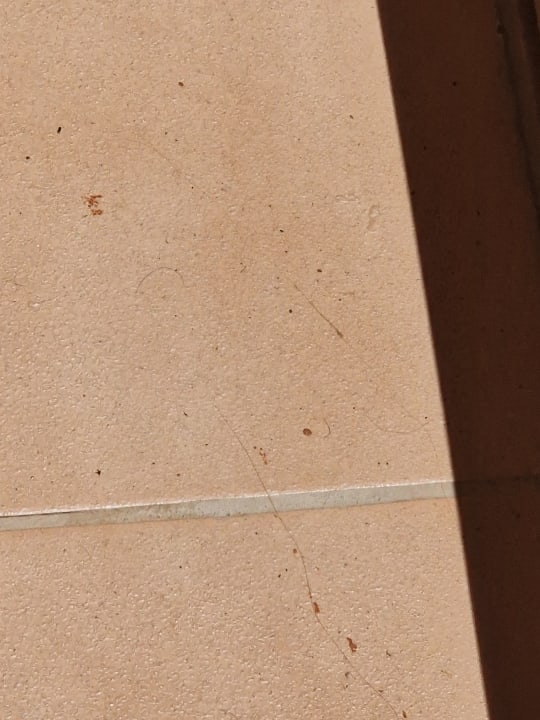 Zimmer AluaSoul Palma