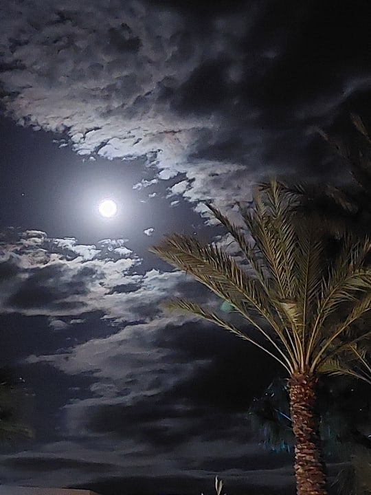 Ausblick Iberostar Waves Mehari Djerba