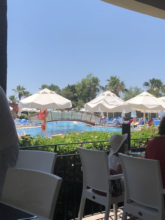 Gastro Palmeras Beach Hotel