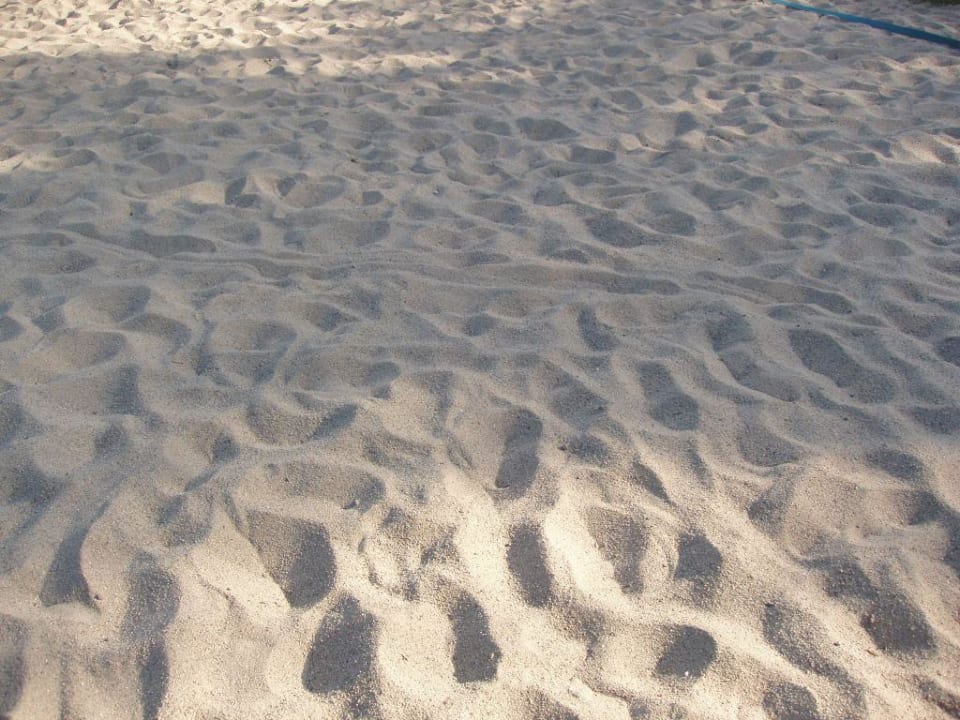 Weißer Strand-Sand Camping & Ferienhäuser Bergwitzsee