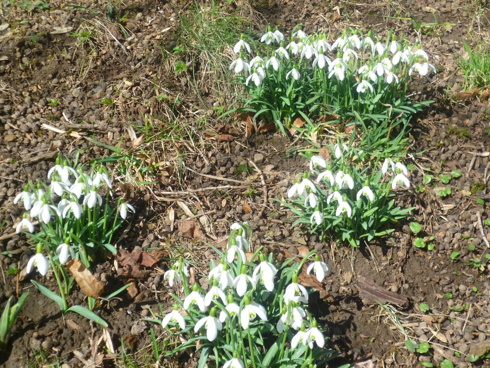 Gartenanlage Ferienhof Uebelhör