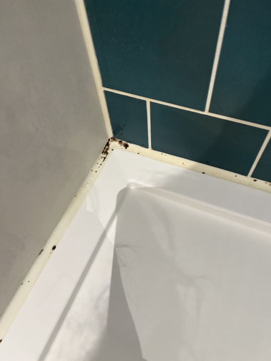 Zimmer Holiday Inn - the niu, Fender Amsterdam