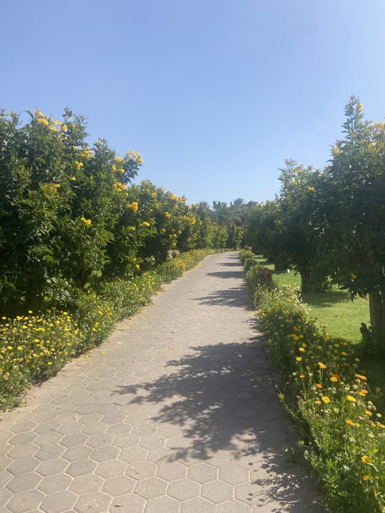 Außenansicht Fort Arabesque Resort, Spa & Villas