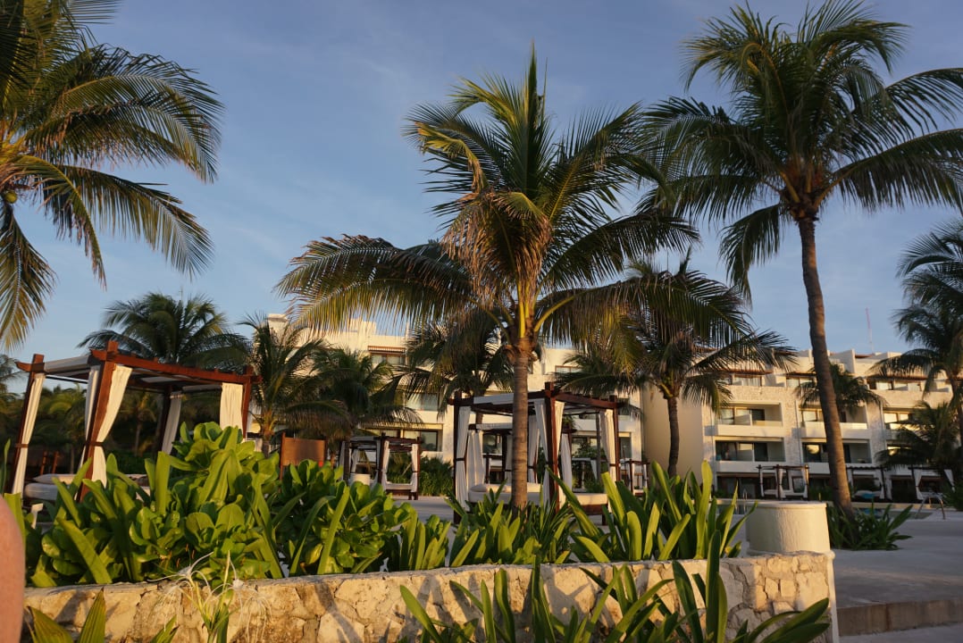 Pool Akumal Bay Beach & Wellness Resort
