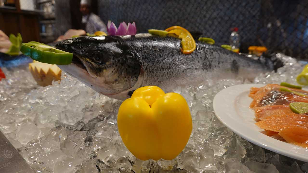 Gastro Pickalbatros Citadel Resort