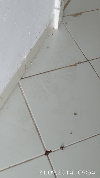 Lose Dübel Hotel Nesrine