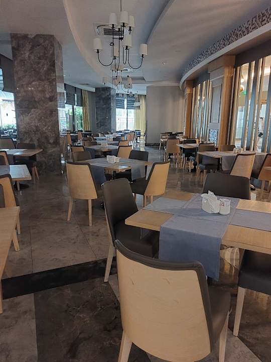 Gastro Seashell Vega