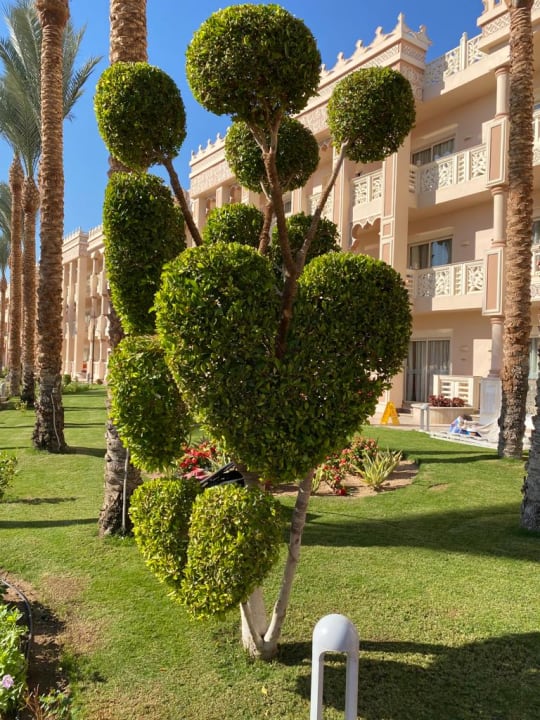 Außenansicht Pickalbatros Palace Resort