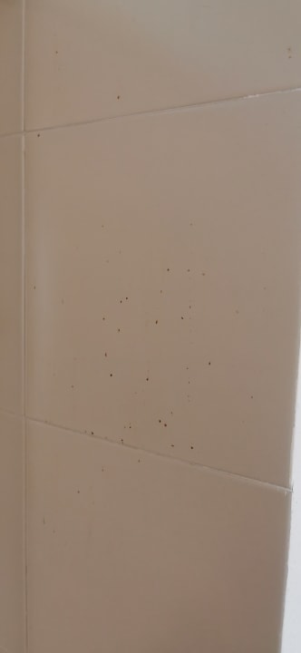 Zimmer Grupotel Tamariscos