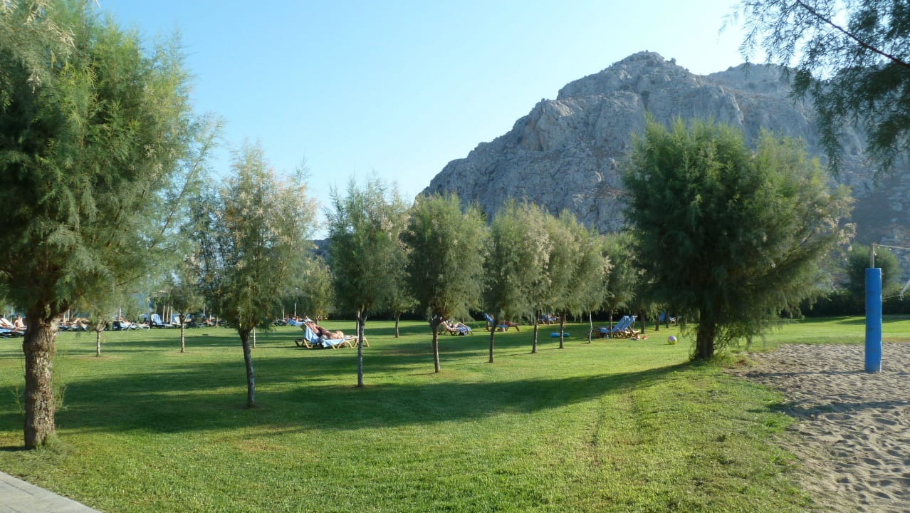 Liegewiese Atlantica Aegean Blue