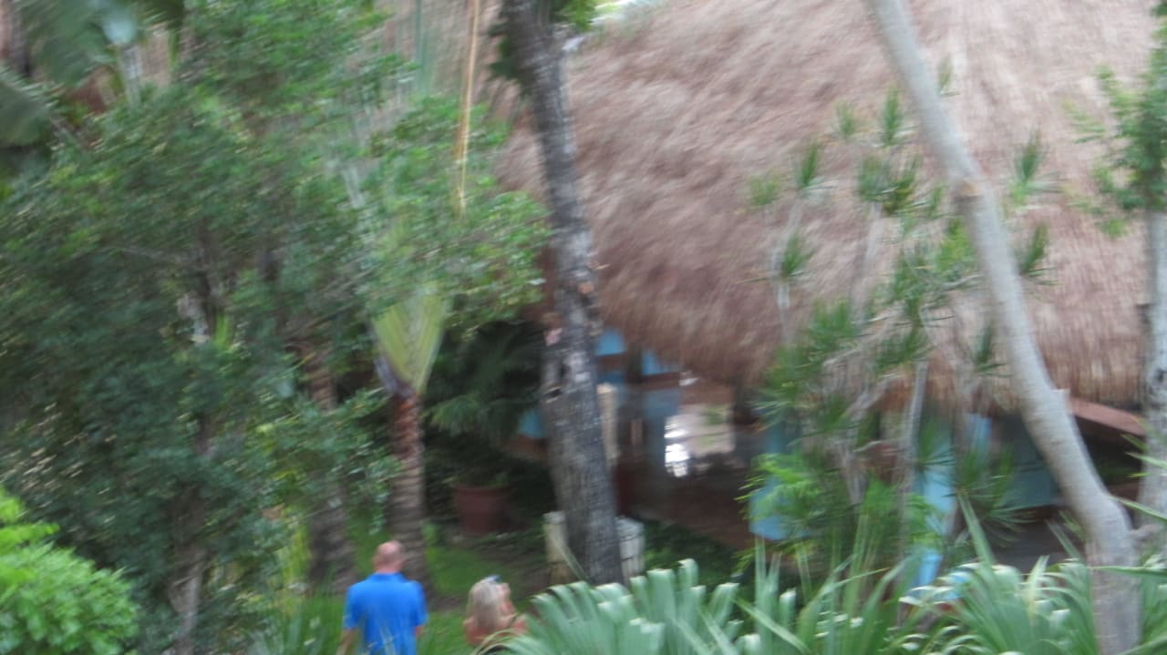 Garten Iberostar Waves Tucan